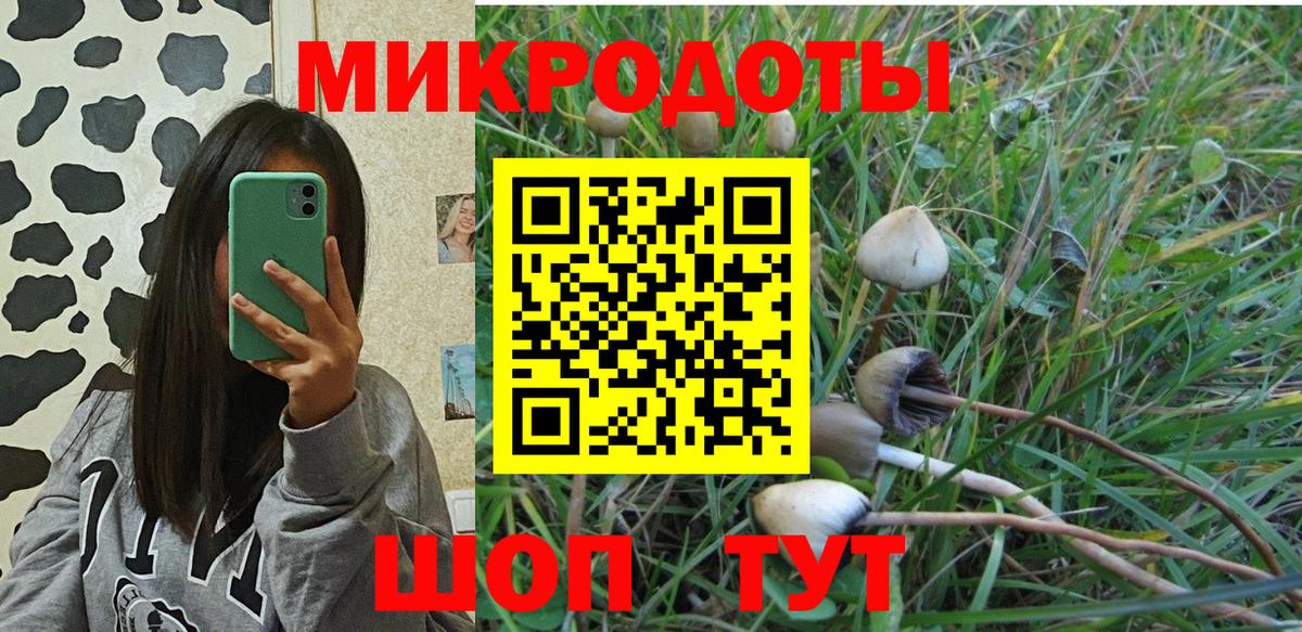 Галлюциногенные грибы Cubensis  Псилоцибиновые грибы GOLDEN TEACHER  Анапа  Вход с VPN 