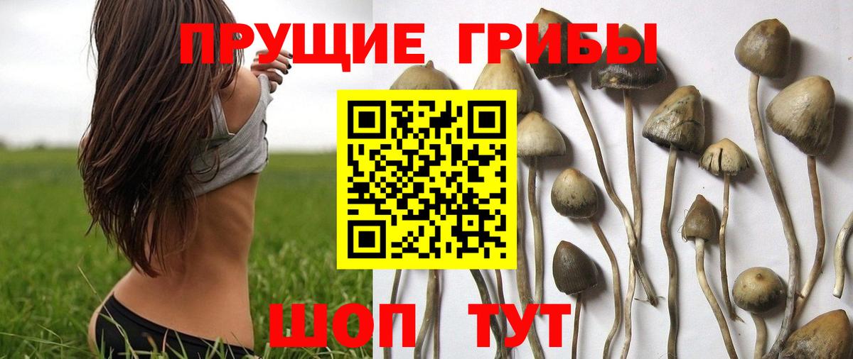 Галлюциногенные грибы мицелий Анапа